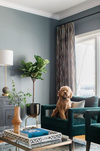 A cozy grey living room ideas