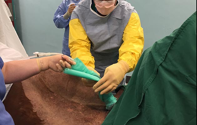 Removal of the bladder stone is not a simple procedure, with delicate structures around the bladder, and requires general anaesthesia