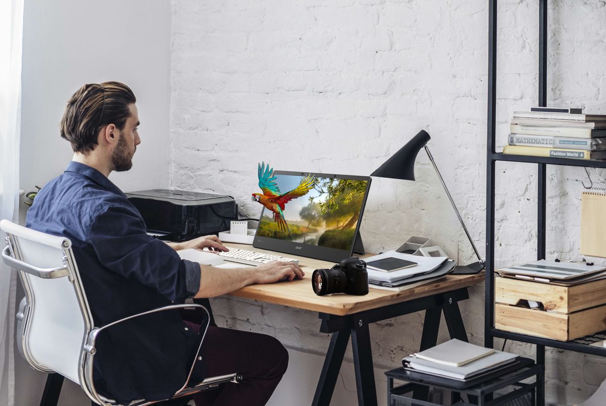 The SpatialLabs View Pro monitor being used at a desk by a photographer with a parrot flying out of the screen