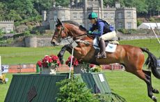 Bolesworth-International.jpg