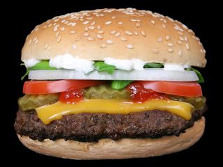 hamburger-101129-02
