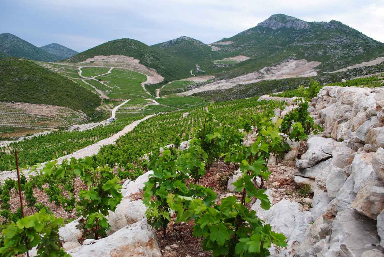 Milos_vineyards.3.jpg
