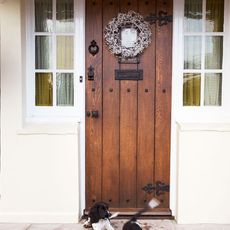 doorway with wreath and white wall and puppy