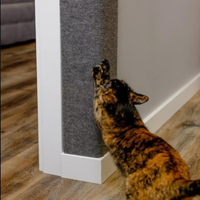 Cat Scratcher Mat