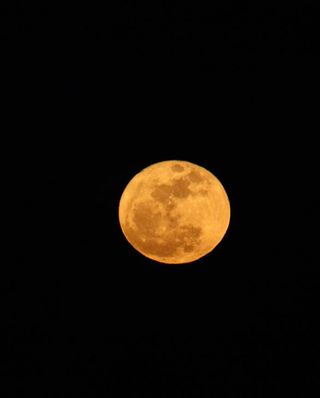 A look at full moon of March 19, 2011 over Grand Rapids, Michigan in this photo taken by skywatcher Susan Wagener.