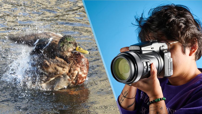 Photos of a duck and a person holding a Nikon Coolpix P1100 camera