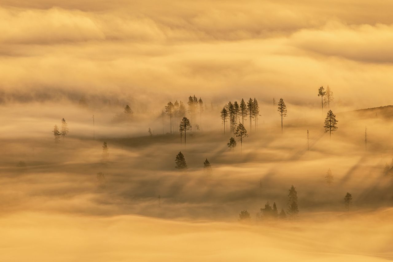 A winning image from the GDT Nature Photographer of the Year