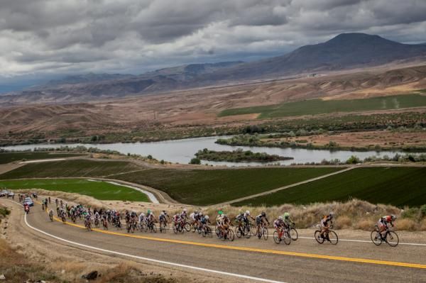 The peloton gets strung out on the last time up the climb.