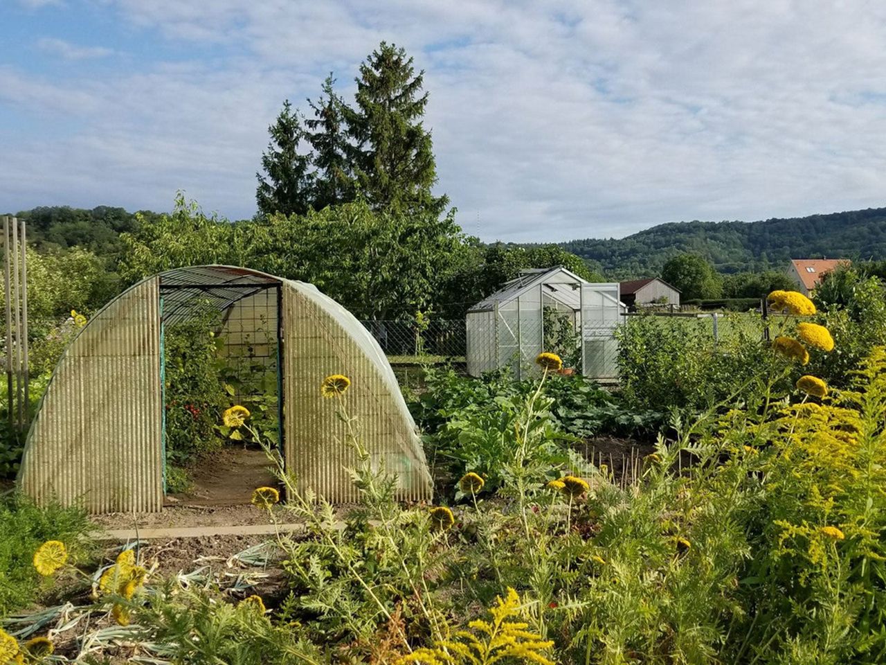 Garden With Plants And Green Houses