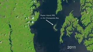 Satellite Image of Poplar Island, MD
