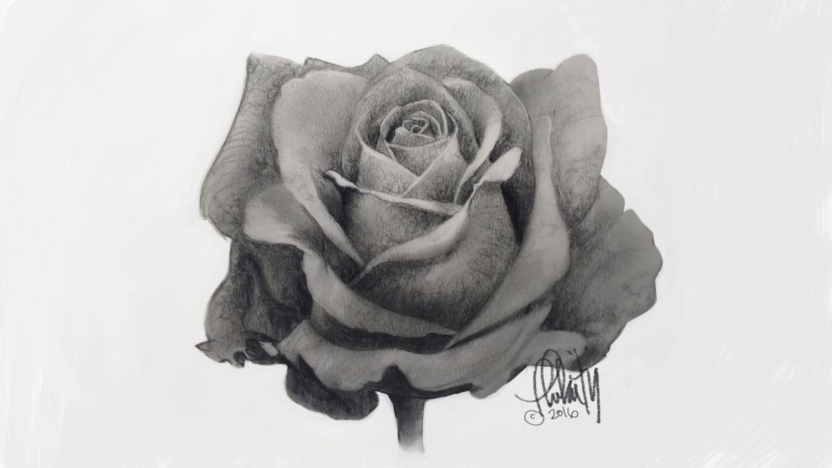 How to draw a rose: beginner and advanced tips | Creative Bloq
