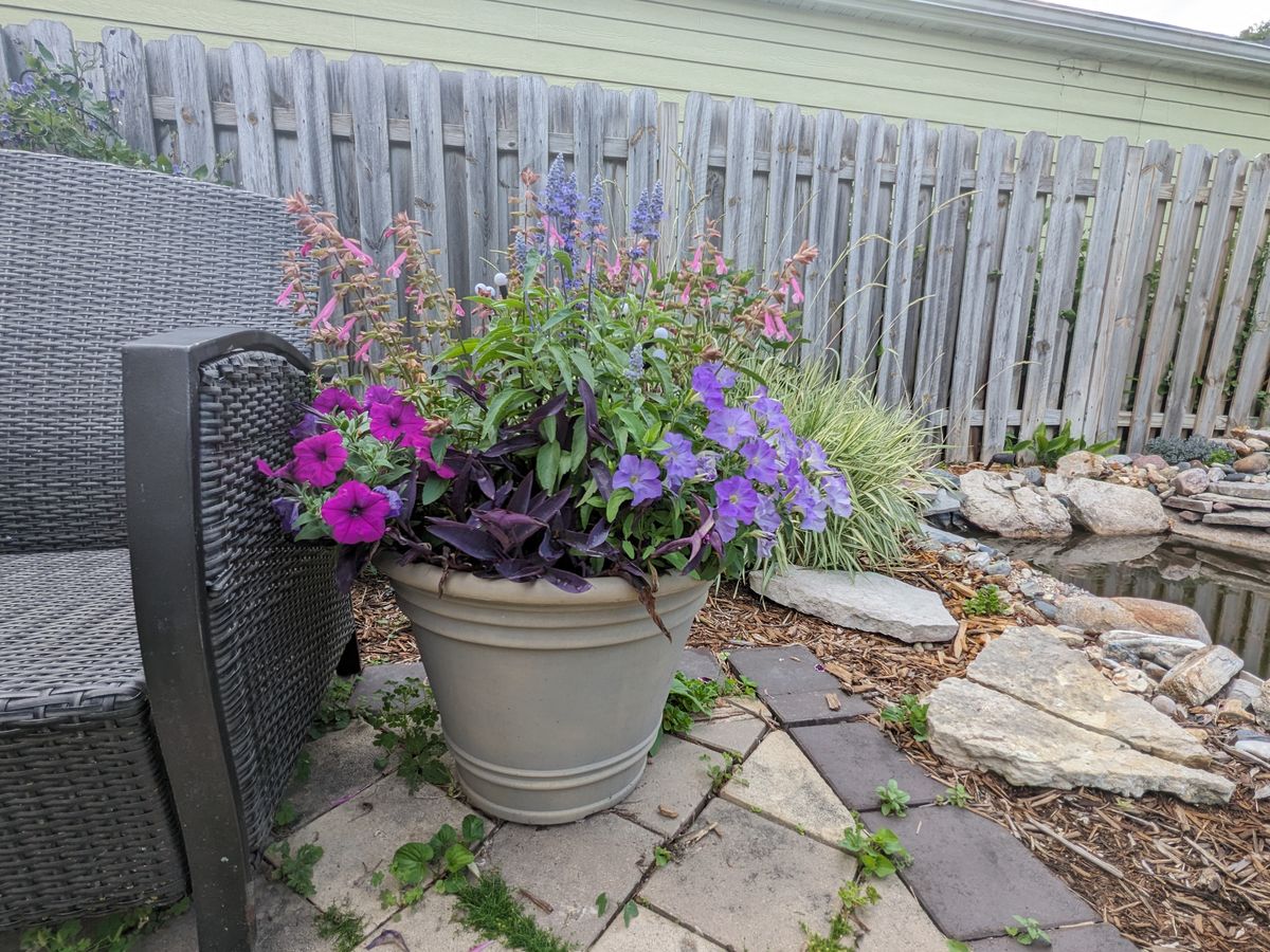 Google Pixel Fold camera samples