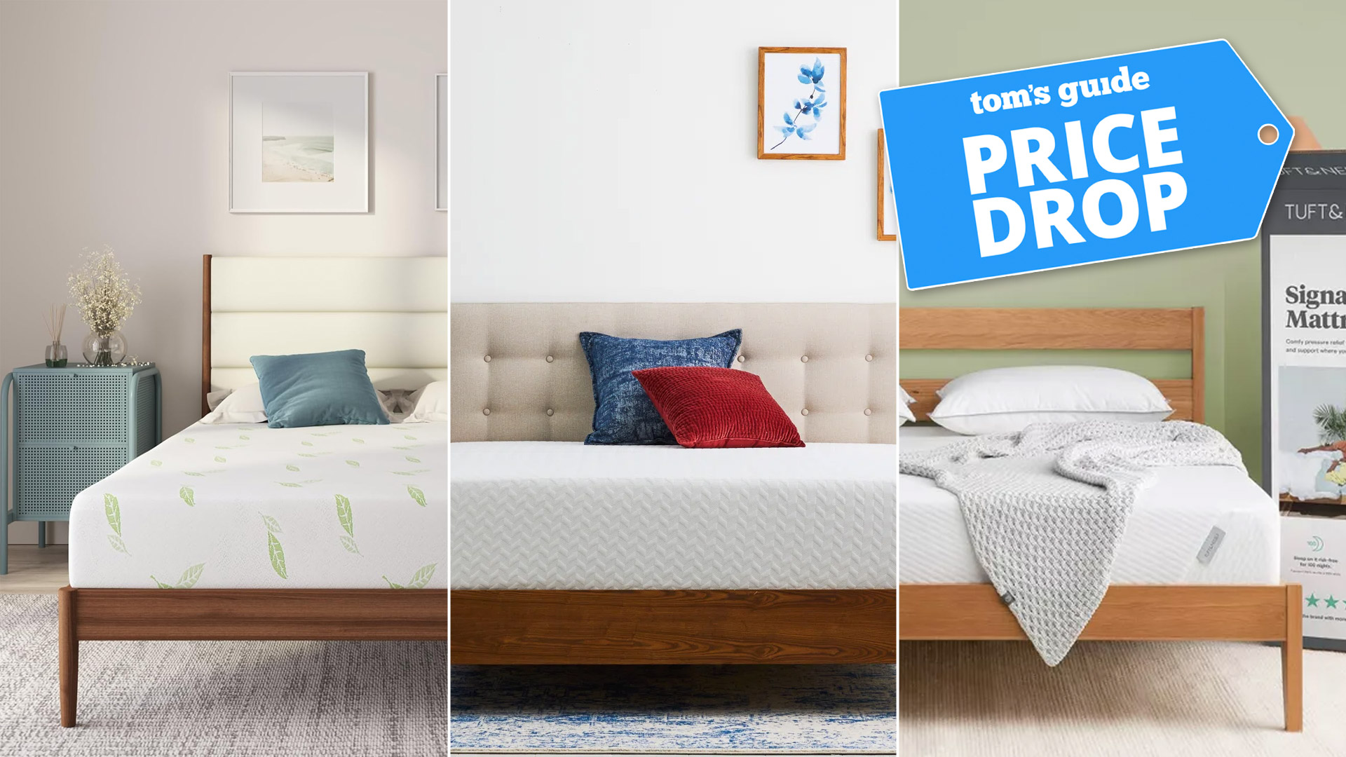 Composite image of the Napqueen Anula Green Tea Infused Memory Foam Mattress, Wayfair Sleep Gel Memory Foam Mattress and Tuft &amp; Needle Signature Mattress with a Tom&#039;s Guide badge overlaid saying &quot;PRICE DROP&quot;
