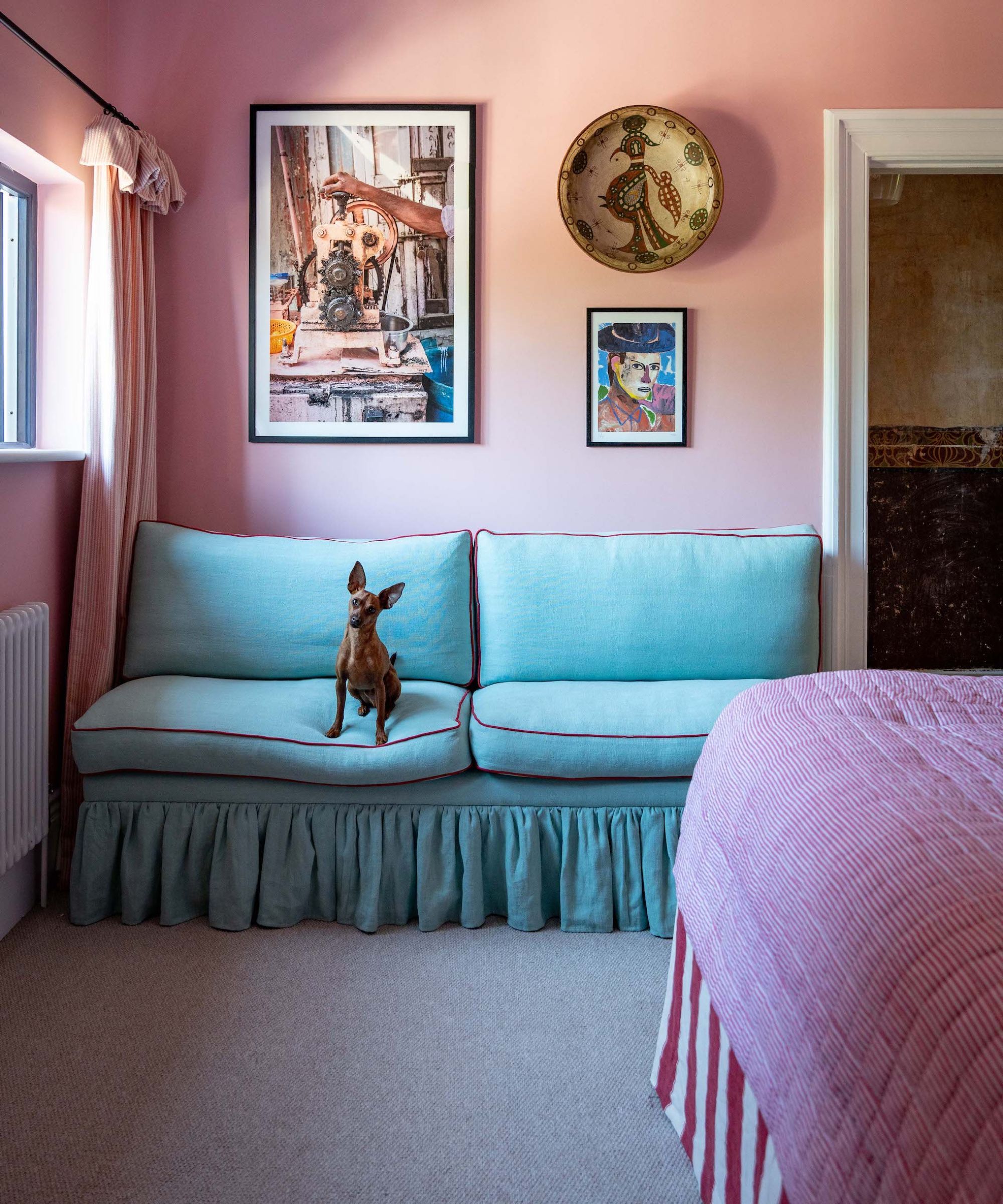 A bright blue sofa with bright pink piping, a small dog sitting on it.