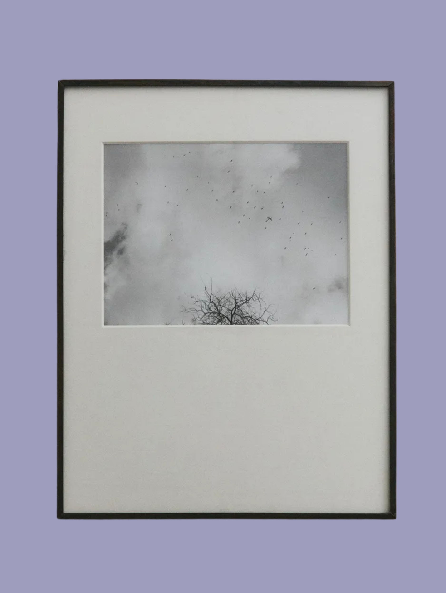 Zara Home, Photo Frame With Passe-Partout