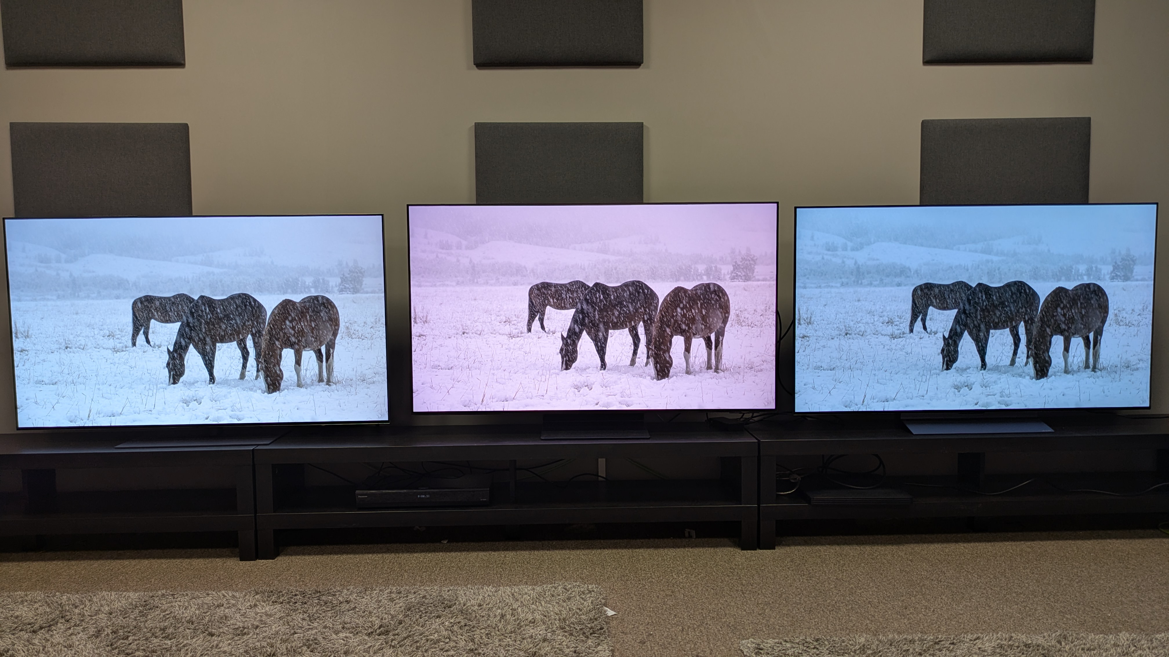 LG G5 (left) vs Samsung S95F (middle) vs LG C5 (right) showing horses in snow on screen