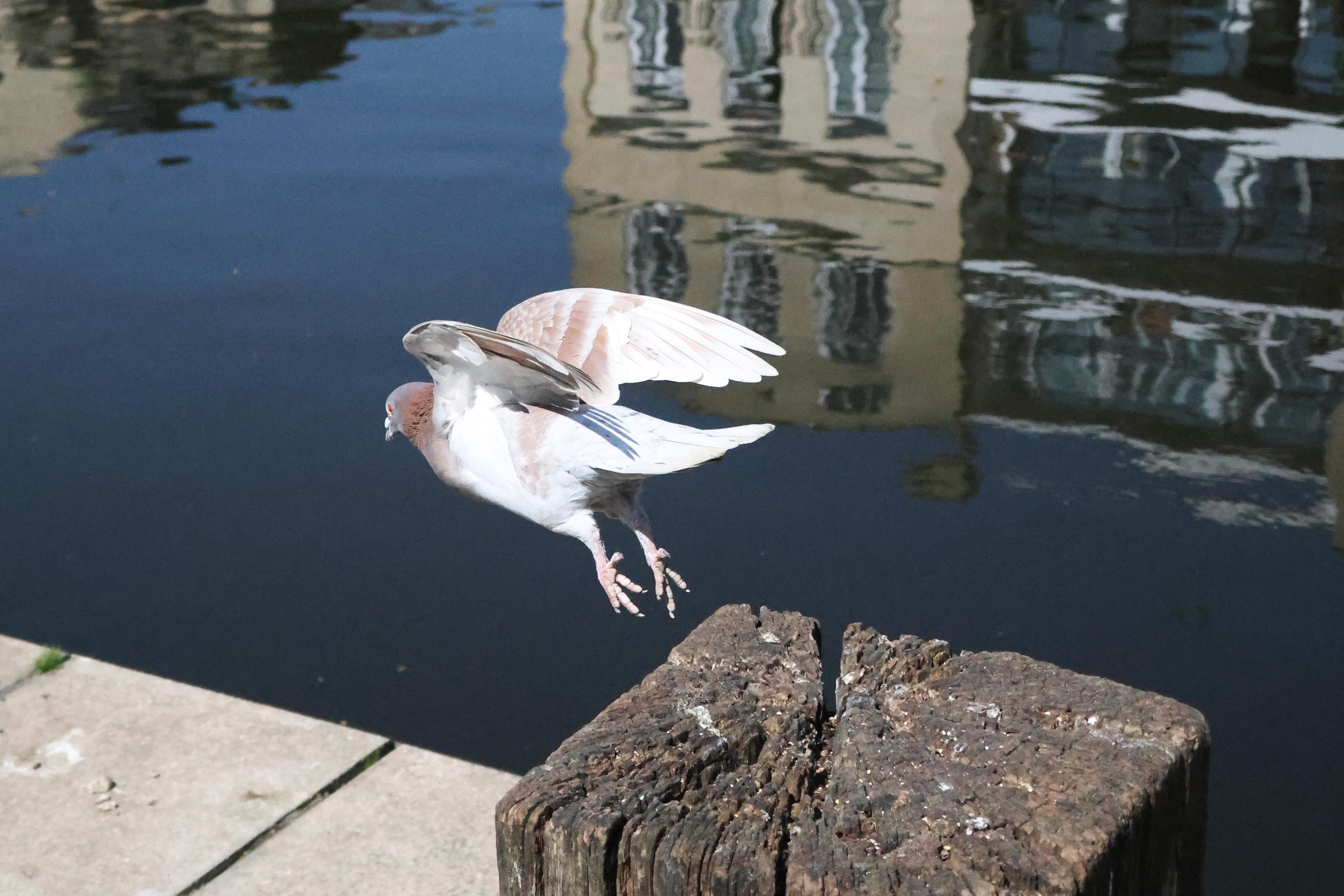 A photo taken on a Canon PowerShot V1 compact vlogging camera