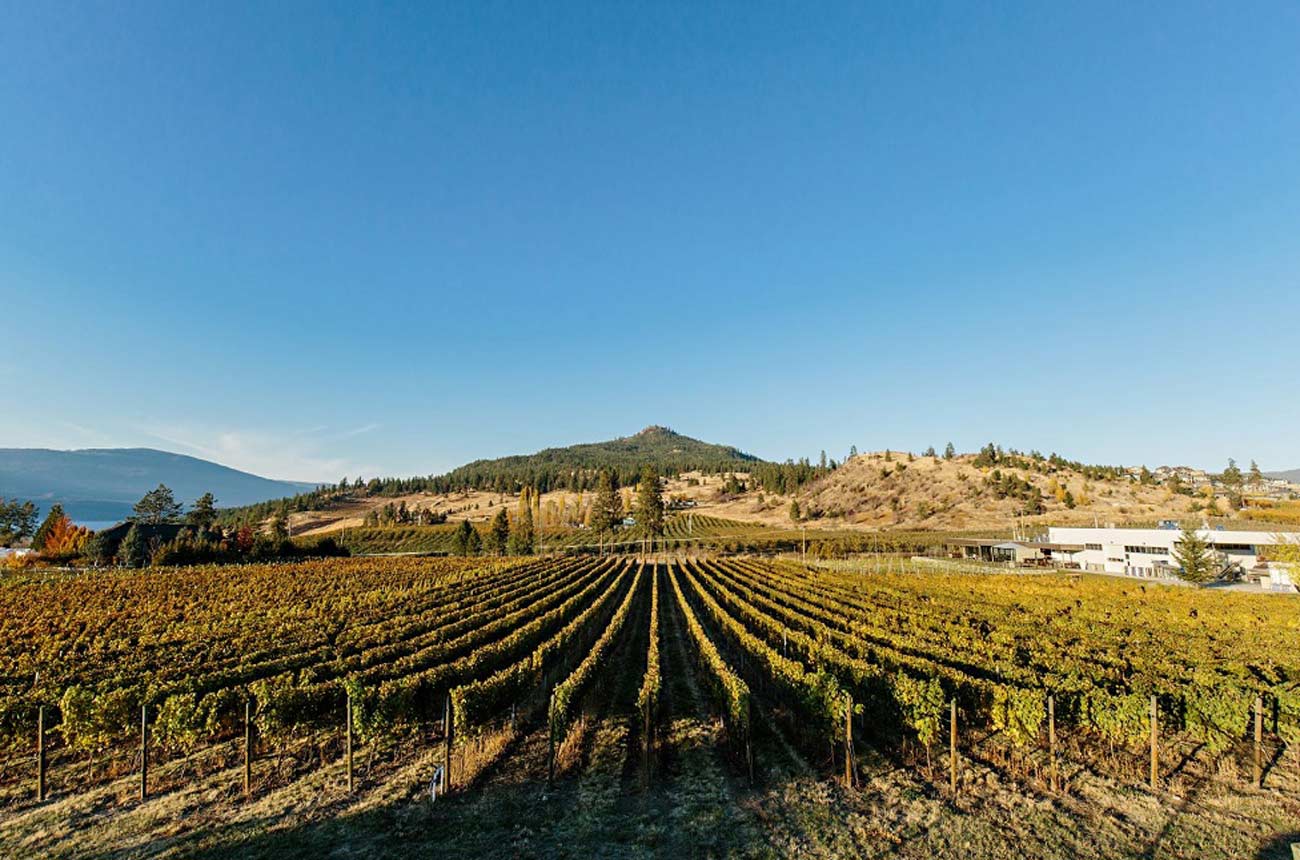 Cropped-O_Rourke_Peak_Cellars_Credit_Jon_Adrian.jpg