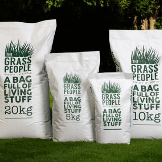 Lawn seed for shady gardens