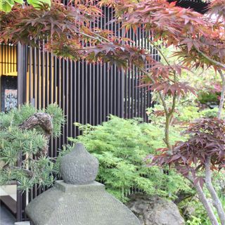 Acer tree and stone lantern in front of modern slatted metal garden screen at RHS Chelsea Flower Show 2023