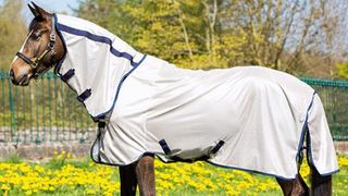 Horseware Mio fly rug for horses