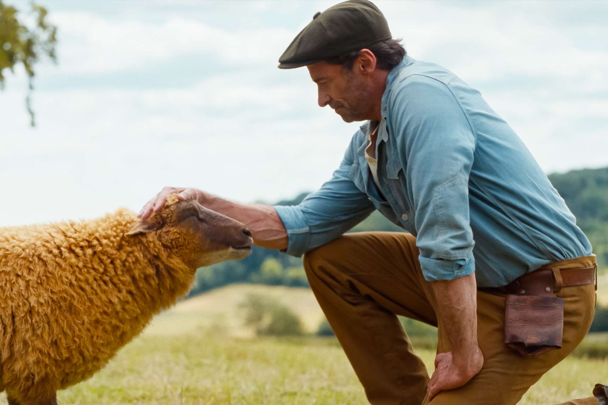 hugh jackman as a shepherd kneeling down to pet a sheep in a pasture in a still from the movie the sheep detective