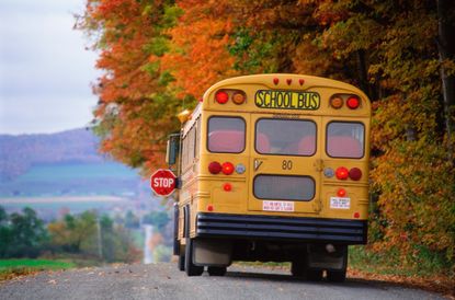 School bus on country road with autumn trees