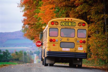 School bus on country road with autumn trees