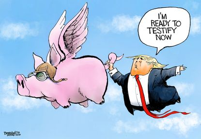 Political Cartoon U.S. Trump Testify When Pigs Fly