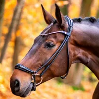 Finesse Spirit Rolled Drop Noseband Bridle | 30% off at RedpostWas &pound;279.30 Now &pound;399