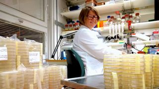 Microbiologist Karin Hjort sitting in a lab with stacks of petri dishes