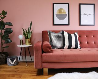 Coral velvet sofa bed in living room against a salmon pink wall and black framed artwork. There's circular round side table and snake plant atop