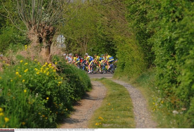 The peloton during Amstel Gold Race