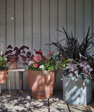 container planting on balcony garden