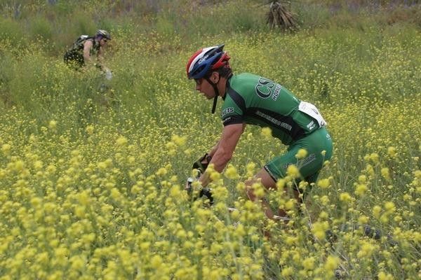 Heavy spring rains brought blooms to the desert in full force