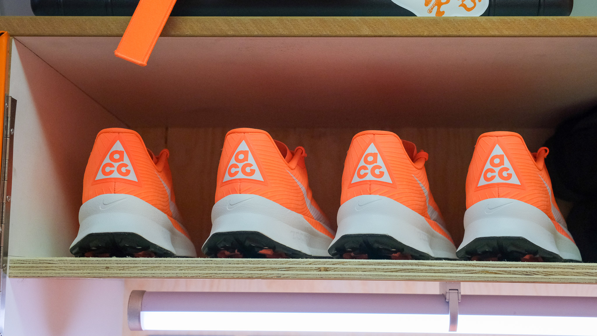 Nike All Conditions Express