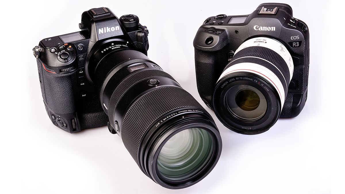 Skilled digital camera wars: the Nikon v Canon custom continues
