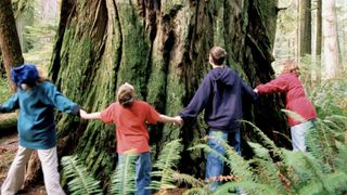 Children holding hands standing around giant redwood tree