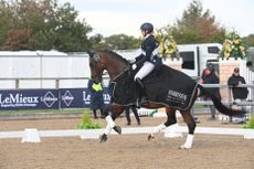 2025 national dressage championships