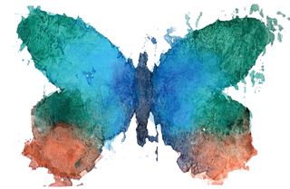 butterfly painting