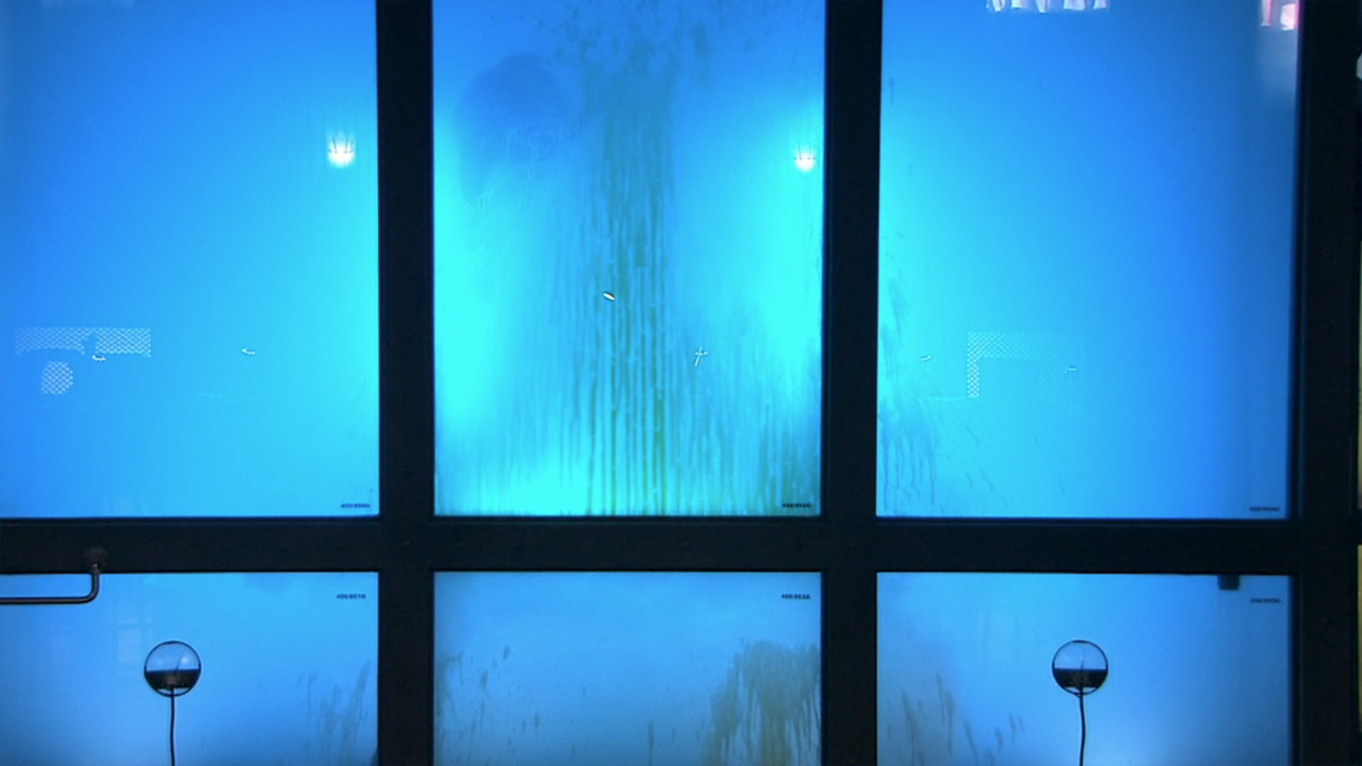 Captura de tela da minissérie Torchwood de 2009 mostrando o 456, uma criatura alienígena, em um tanque de água.