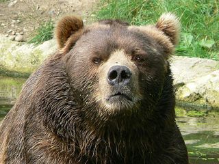 Bears come out in force as stock falls 25% after Q4 guidance miss
