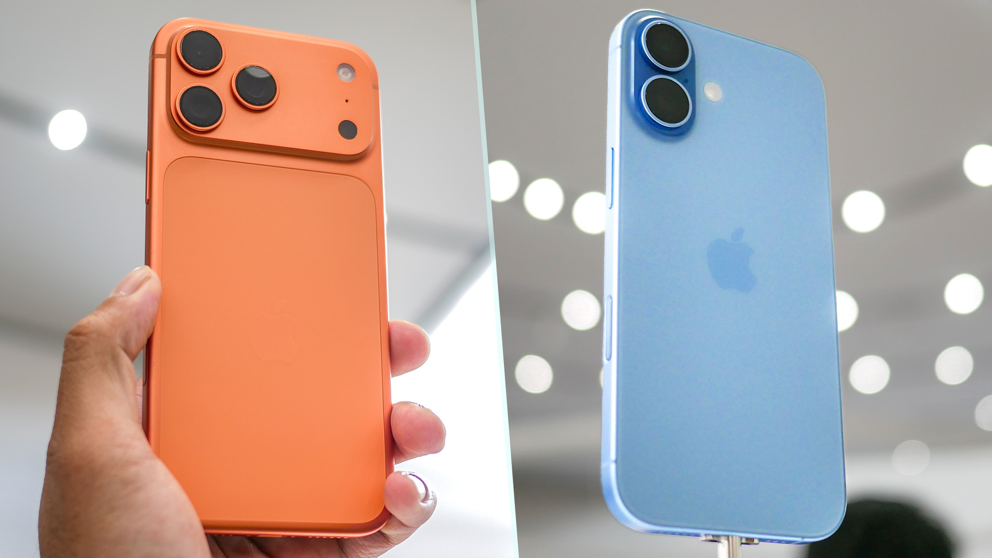 iPhone 17 Pro Max vs iPhone 17.