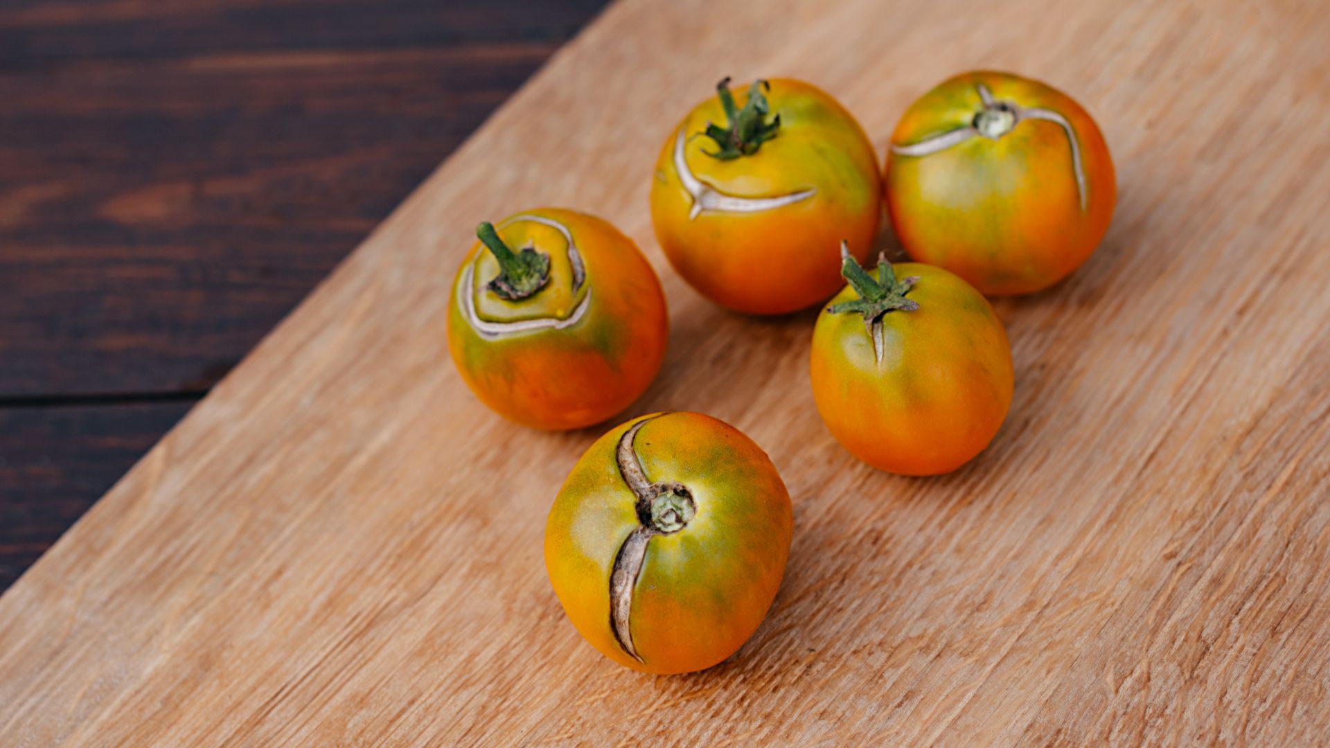 picture of riped tomatoes with splits in them