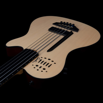 Godin fretless bass guitar