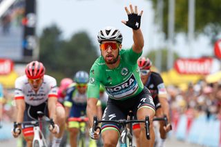 Stage 13 - Tour de France: Peter Sagan wins stage 13 bunch sprint in Valence