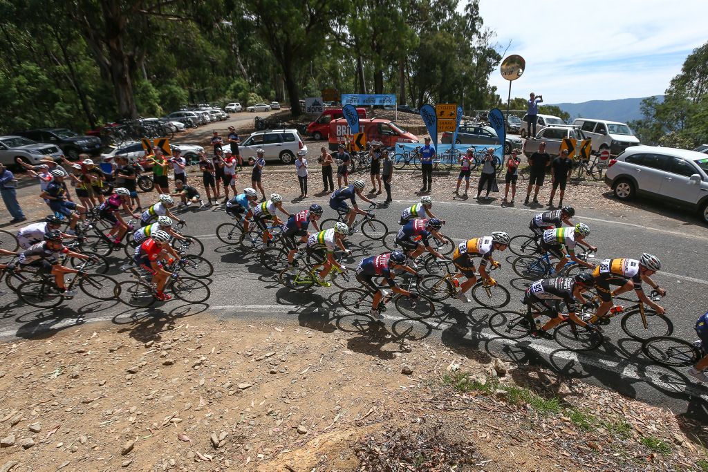 The peloton comes over the Tawonga Gap climb