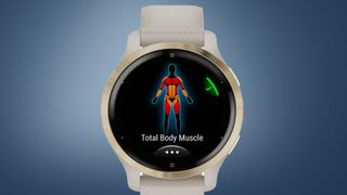 A Garmin Venu 2S watch showing a muscle mass diagram on a blue background