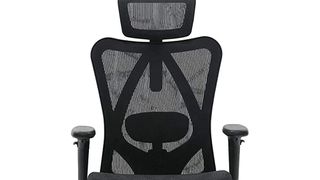 Detail of an ergonomic office chair showing a mesh back