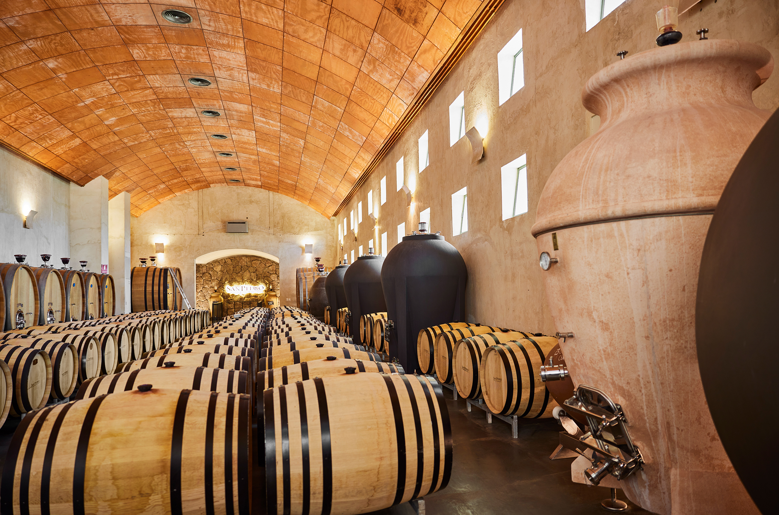 A room with orange ceiling tiles, filled with rows of oak barrels, a ceramic amphora and black amphorae
